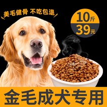 강아지 사료 유카만 골든 리트리버 전용 대형 개 완성함 견용 미모 천연 영양 5KG10 근 룩 1253972122, 골든 리트리버 성견 전용 쇠고기 맛