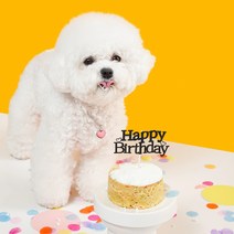 까까묵자 강아지 케이크 생일파티 애견수제간식, 레터링 X
