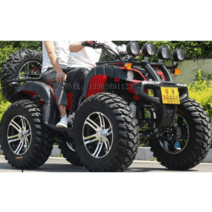 4륜 오토바이 125cc 250cc 산악 ATV 오프로드 바이크, 자동변속기 스몰불 스탠다드 110cc