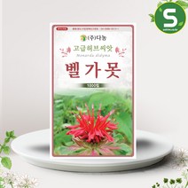 솔림텃밭몰 벨가못씨앗 1000립 벨가못 버가못 미국박하 허브씨앗, 단품