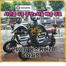 2023년형 레이윙 디스커버리 와일드 S20 750W 전기 전동 스쿠터 12Ah / 16Ah / 28Ah 반려동물 동승 장보기 짐싣기 예쁜스쿠터, 블랙