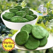 엔젤쿡 자연담은 거문도 해풍쑥 1+1 생쑥떡 2팩세트 친환경 쑥, 생쑥개떡1kg+생쑥송편1kg