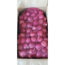중국양파 중국샬롯 모총샬롯빨간양파 미니양파, 중국샬롯 500g, 1개