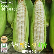산지직송 강원도 홍천 특산물 찰 찐 삶은 옥수수 미백 찰옥수수 찐옥수수 홍천옥수수 아이들간식 강원도옥수수, 300g, 10개