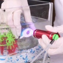 어항물속용 UV접착제 수중접착제 초강력 관상어수조용