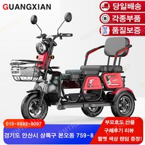 알엠티 KC인증 삼륜 전동스쿠터 RMT012 당일배송 전동오토바이 노인 3륜 전기자전거 부모 선물 충전기 미포함, 스카이 블루