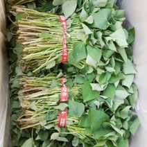 맛있는 농장 호박고구마 모종 10kg(4월1일부터예약주문받습니다), 호박고구마 모종 10kg, 4월 27일 도착