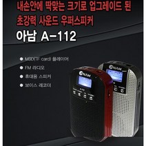 아남 효도라디오 A-112 FM라디오 SD카드 인식 녹음기능 고출력, 실버