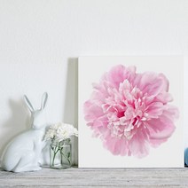 셀러허브 핑크핑크 모란 No1 생동감 넘치는 모란 꽃 액자 3호, 직사각형(27x19cm)／프레임액자(흰색)