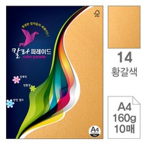 삼원)칼라퍼레이드(14.황갈색A4-160g10매-포10권입), 단품