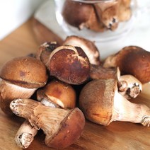 산지직송 무농약 송이 참송이버섯 가정용 선물용 200g 500g 1kg, 못난이참송이200g