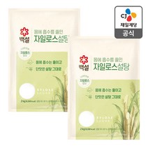 백설 하얀 자일로스설탕 2kg x 2개