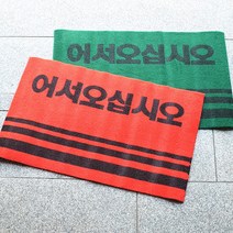 통현관카펫매트 로고 60x90, 그린, 1개