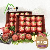 산지애 [2023햇사과] 씻어나온 꿀사과 3kg 2box (중과), 단품없음