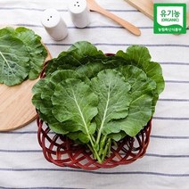 자연맛남 [자연맛남] 유기농 쌈케일 1kg