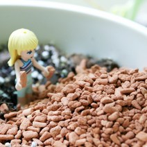 희귀식물 분갈이흙 세라미스 독일 산 프리미엄 용토, 2.5L