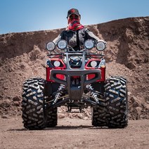 버기카 ATV 사륜오토바이 농업용 250cc 네발 오프로드, 리틀 불 패키지 1