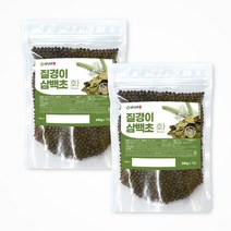 백장생 국내산 질경이삼백초환 (차전초 삼백초), 300g, 2개, 2개