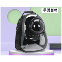 고양이 병원 외출 캐리어 우주선 백팩 집사 잇템, 기본선택, 투명 블랙