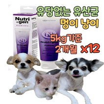유당불내증 고양이 강아지 장건강 장 유산균 프로 바이오틱스 비피더스 펫 반려동물 대형견 100억마리 고농축 리얼 설사 변비 유당없는 소화장애 배변활동 항산화 면역력 영양제 보조제, 12개