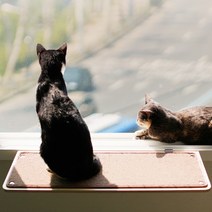 냥선반_700+스크래쳐 카패트SET, 상세설명 참조, 냥반_600/그린 카패트