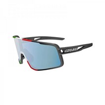 살리체 고글 022 블랙 ITA RWX 옐로우 독일