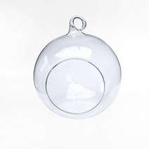 비오스 테라리움 만들기 행잉 유리볼 1P, 12cm 행잉유리볼(중)