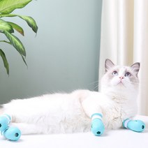 고양이 목욕 신발 뉴타입 발톱 커버 미용 발톱캡 롤리펀 할큄 방지