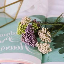 라이스플라워 프리저브드 도매, 08_자주그레이