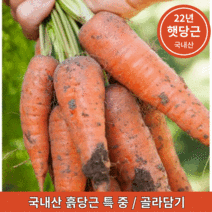 국내산 햇 흙당근 최상품 제주도 강원도 경남 1kg 3kg 5kg 10kg, 당근 특(요리용)
