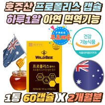 호주 프로폴리스 하루1알 아연 면역기능 항산화영양제 식약처인증 환절기 유해산소 세포보호 셀렌 하루1캡슐 건기식 PROPOLIS 500mg 프로폴리스 활성산소 억제 어린이 성장기