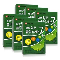 일양약품 징코플러스 은행잎추출물 비타민B군 영지버섯추출분말, 15g, 6개