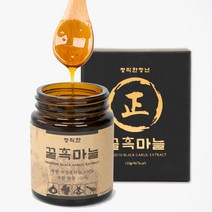 지구본상점/흑마늘과 꿀의 만남 2대째 내려오는 정직한꿀흑마늘, 지구본상점 1, 지구본상점 본상품선택