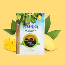 건망고 무설탕 망고말랭이 왓이즈망고100% 80g 2봉지, 1봉지, 2개