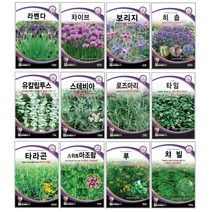 오레가노 유칼립투스 라벤다 오레가노 라벤다 로즈마리 페퍼민트 보리지 허브씨앗 타임 바질 카모마일 차이브 딜 레몬밤 세이지 히솝 소렐 유칼립투스 키우기 심기 재배 정원가꾸기, 라벤더 150립
