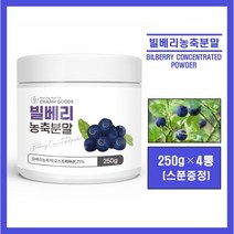 오스트리아산 빌베리 농축 분말 농축액 야생 블루베리 원물 가루 파우더 고함량 안토시아닌 폴리페놀 플라보노이드 눈 건강 빌베리 차 tea 쉐이크 온가족 추천 bilberry, #영에버그린#빌베리농축분말 250g(스푼증정), 4통