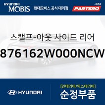 올뉴 싼타페DM 순정 사이드미러 커버(백미러 스캘프) 좌측(크리미화이트) (876162W000NCW)