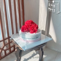 모두의케이크 카네이션배달 가정의달 스승의날 어버이날꽃배달 어버이날 용돈케이크, 코랄, 비건흑임자케이크 (+15000)