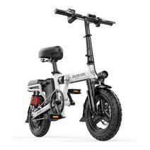 초경량 소형 배달전기자전거 리튬 배터리 힘쎈, M
