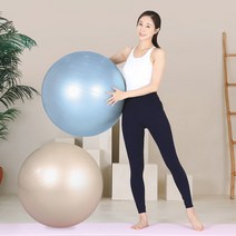 레토 안티버스트 짐볼 65cm 임산부운동 밸런스볼, 안티버스트 짐볼 65cm (스카이블루)