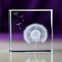 3D큐브 크리스탈 민들레