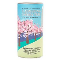 Washington Cherry | Tree Seed Grow Kit | The Jonsteen Company, 1