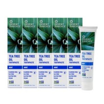 Desert Essence Tea Tree Oil Toothpaste Mint 데저트에센스 내츄럴 티 트리 오일 치약 민트 176g(6.25oz) 5팩 펄이지엥