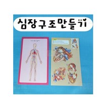 심장구조 만들기 5인/과학 실험 키트 교구 도구 만들기