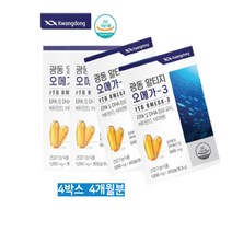 HL 광동 알티지 오메가3 rtg오메가3 비타민d 30캡슐x4 노르웨이산 오메가 대용량