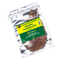 모비딕 프리미엄 알몬드잎 M, 1개