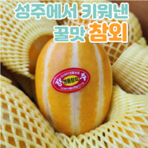성주참외 제철 달달 못난이 참외 정품 1.5kg, 못난이 흠집, 꼬마과(6-10과)