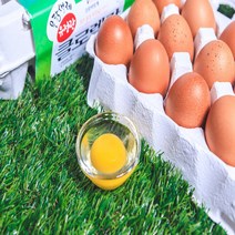 [크로바양계식품] 친환경 무항생제 클로렐라 먹인 닭이 낳은 클로렐란(유정란) 난각번호2번 30구