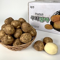 [기린]당일발송 23년 수확 햇감자 수미감자 2kg 3kg 5kg 1BOX, 5kg (왕특, 큰사이즈), 1개