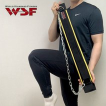 WSF 리프팅 벨트 카딜로 타이탄롱혼 민생 쉬크 제이커틀러 인저 크리오로지 시크 복압